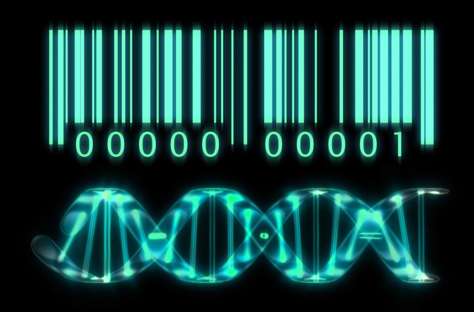 DNAbarcode