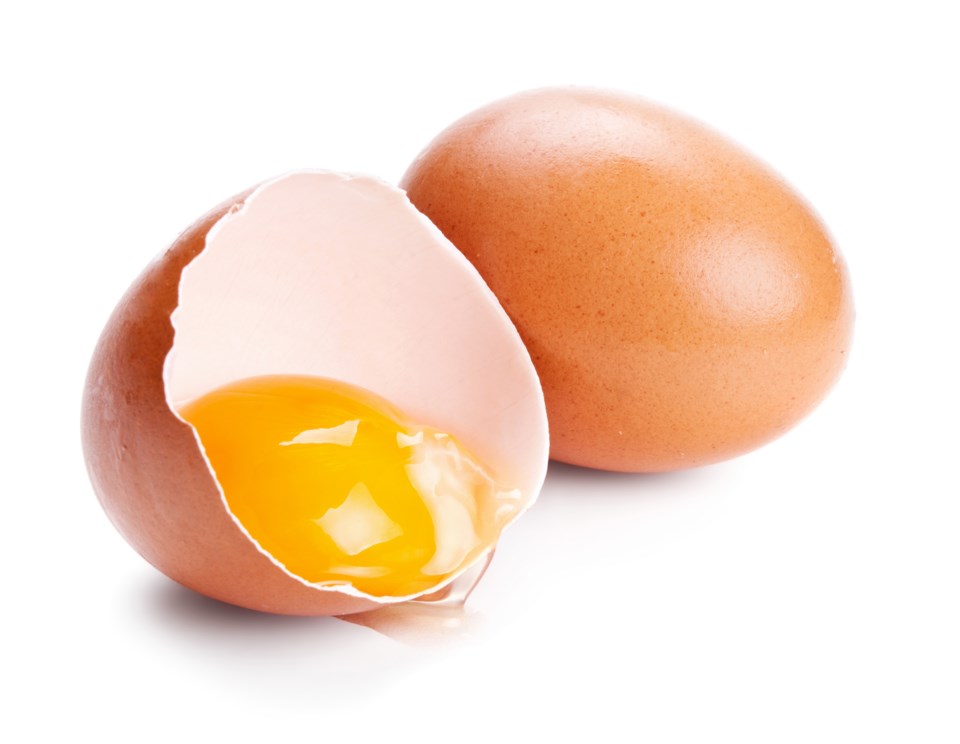 eggs stock