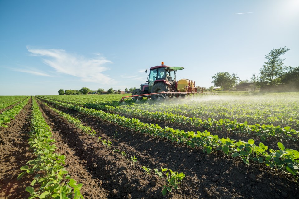 Farmer Spraying Soy Plants