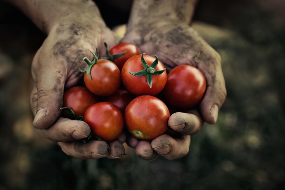 Farming shutterstock