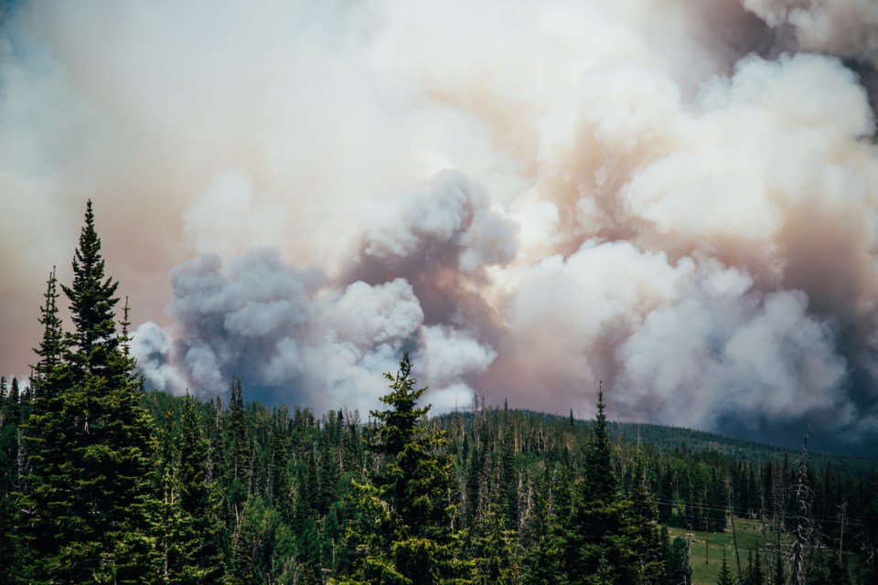 forest fire AdobeStock_162698386