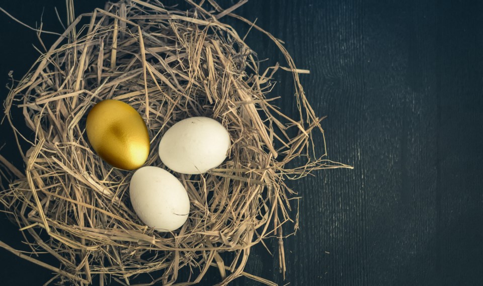 GoldenEggNest