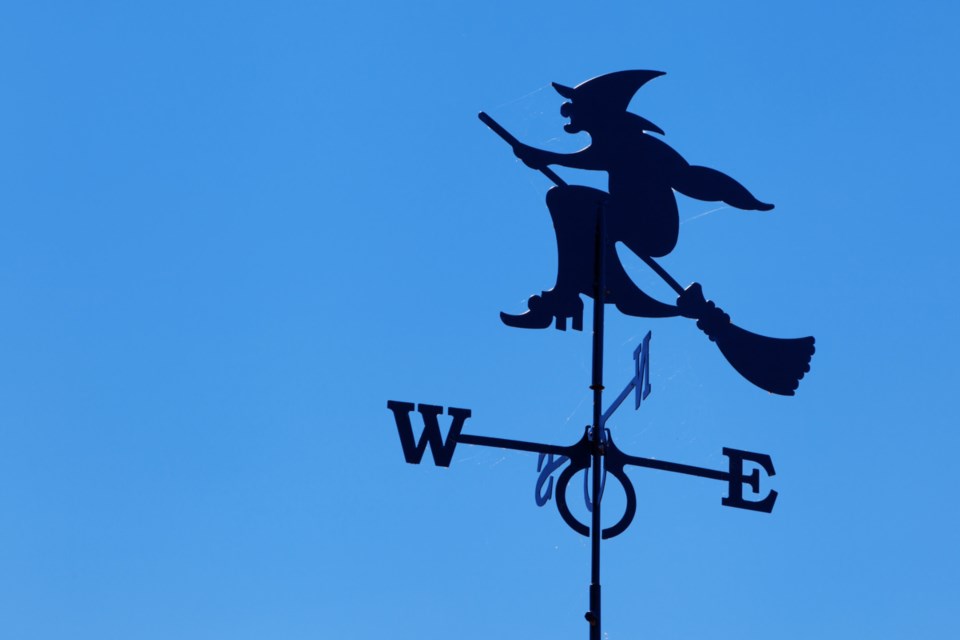 halloween weather witch stock