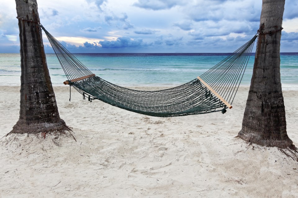 hammock Jamaica tropical