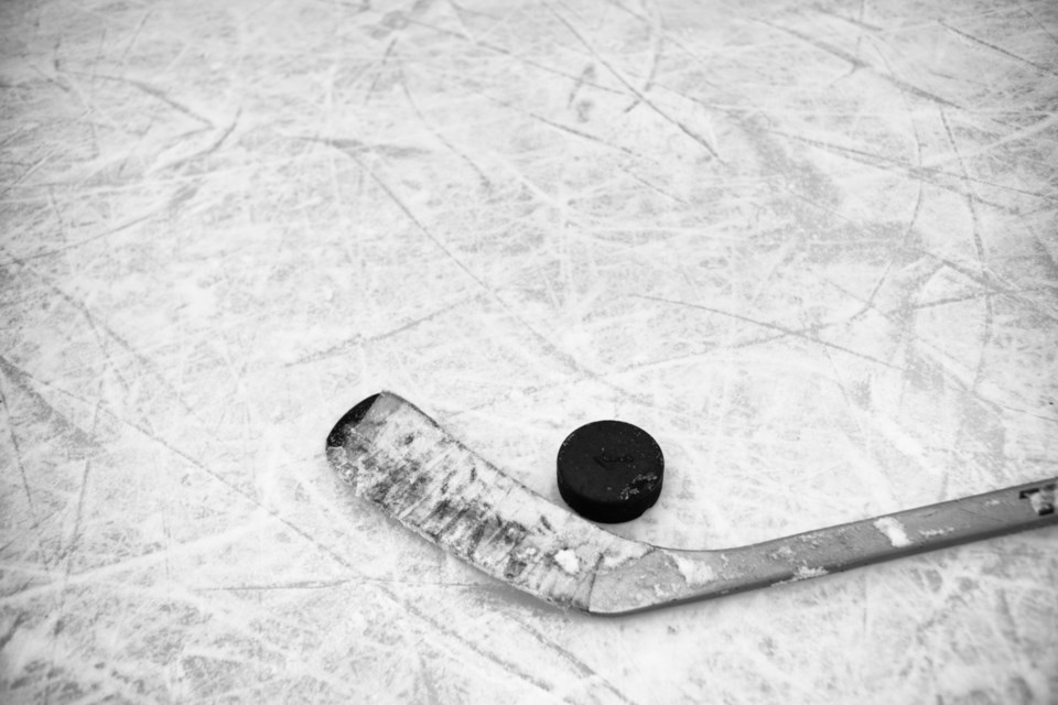hockey stick stock