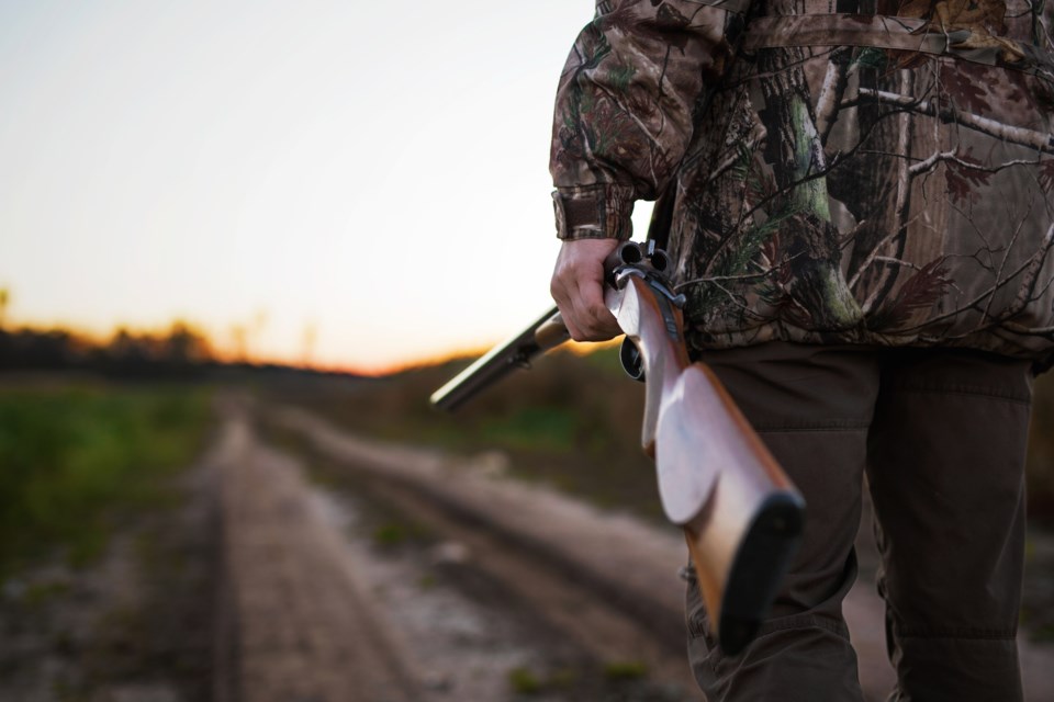 hunting rifle AdobeStock_137171537