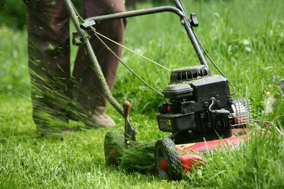 lawn mower AdobeStock_22998527