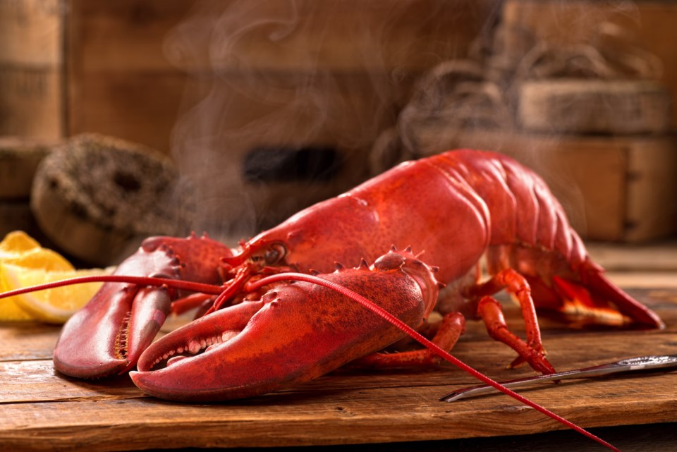lobster stock