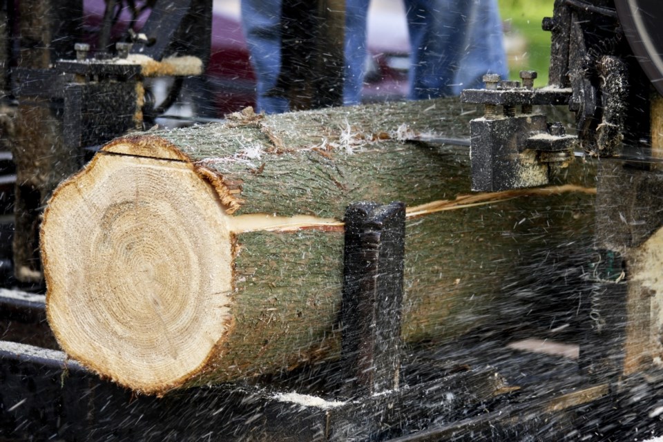 Log Being cut
