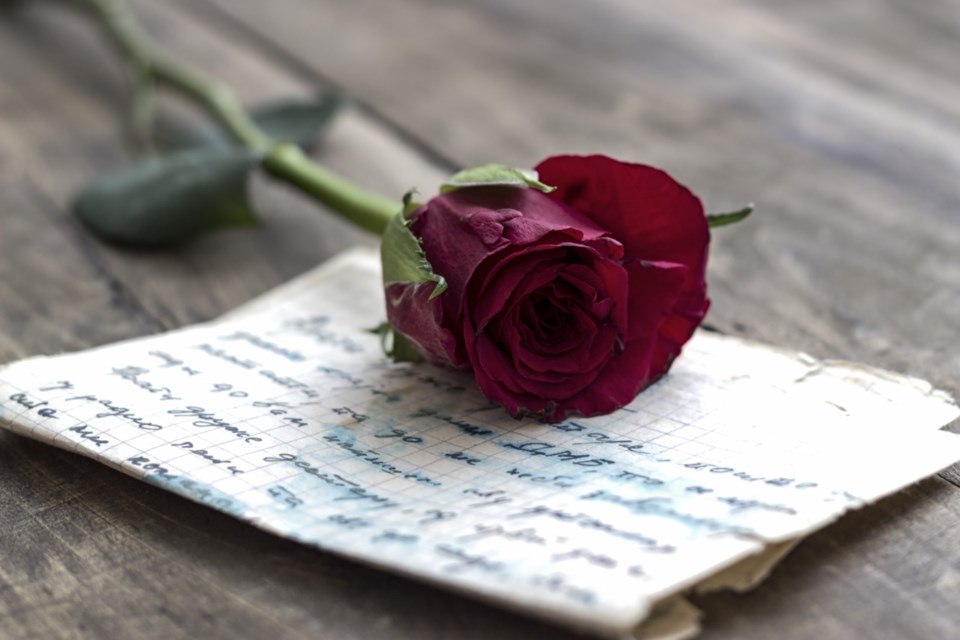 love letter rose stock