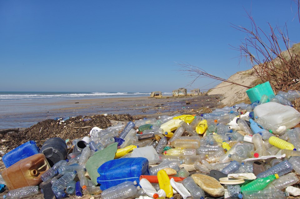 PlasticTrash on lakeshore