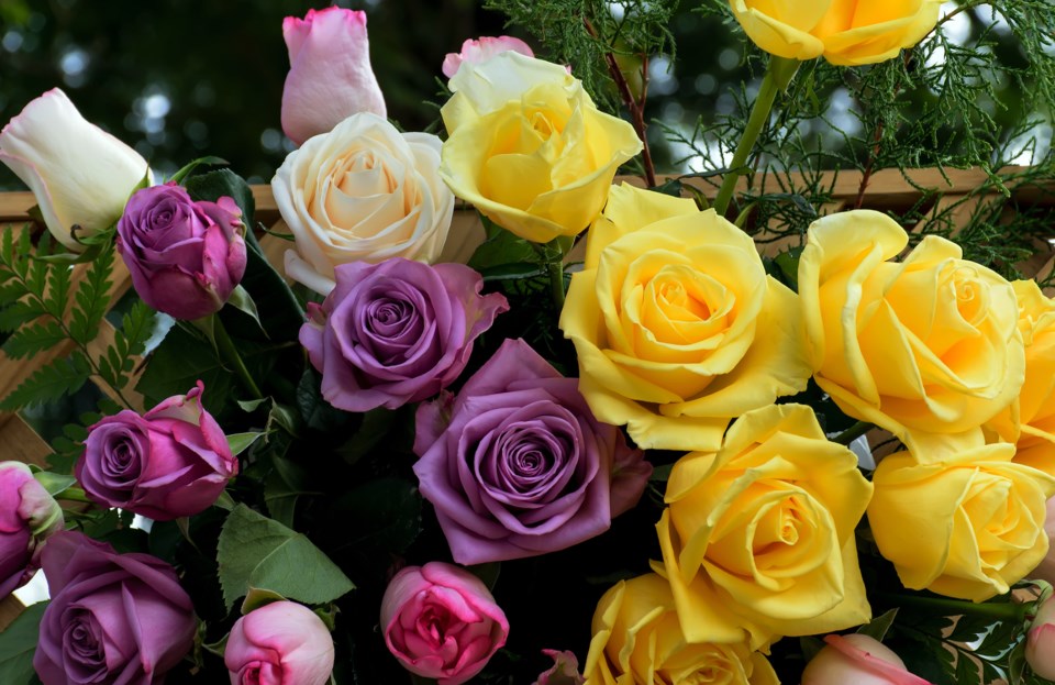 Roses Shutterstock