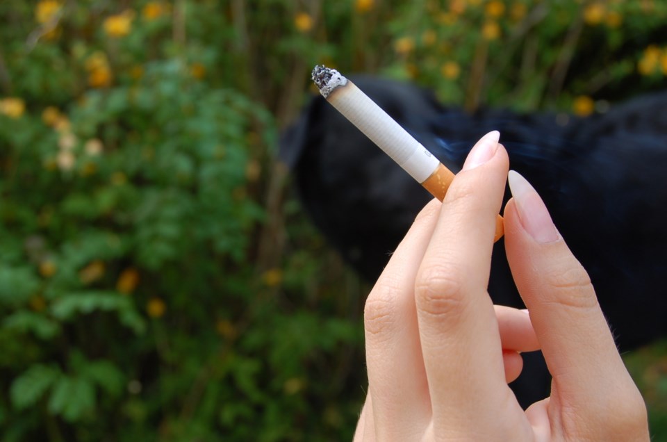 smoking woman hand stock