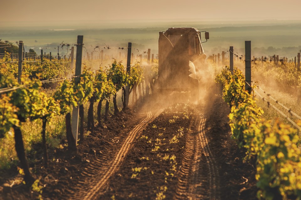 SprayingGrapevines