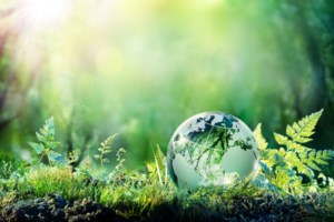 Excited about Earth Day? Come learn more at library event