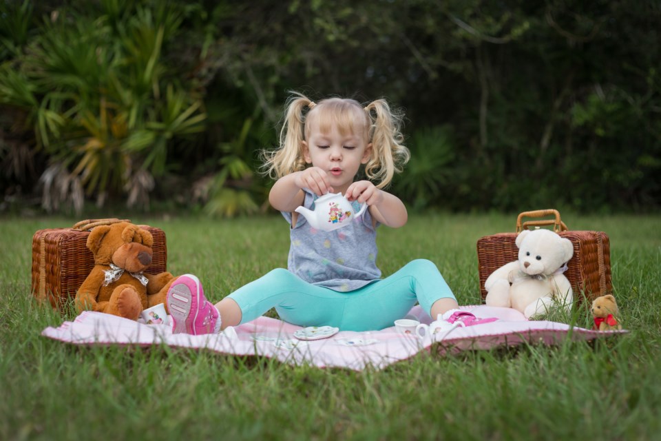 teddy bear picnic little girl