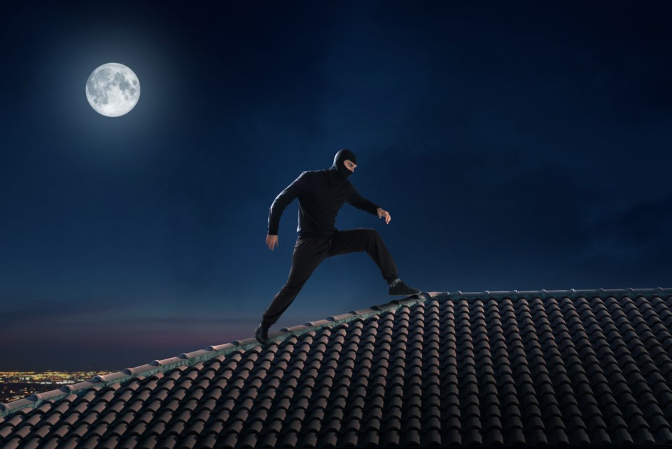 thief on a rooftop in the moonlight