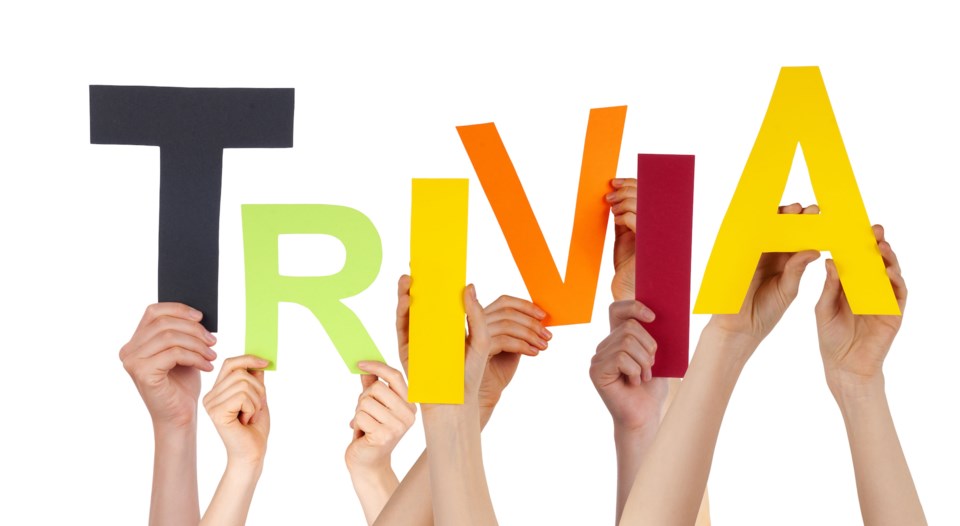 trivia AdobeStock_82561029