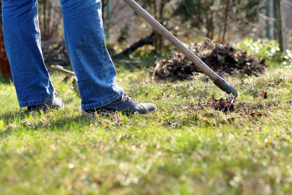 yard work AdobeStock