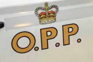 Sault OPP investigated 21 domestic-related incidents last month