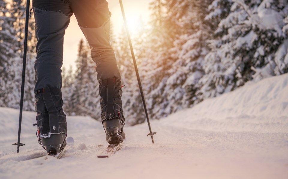 cross country skiing AdobeStock_243108732