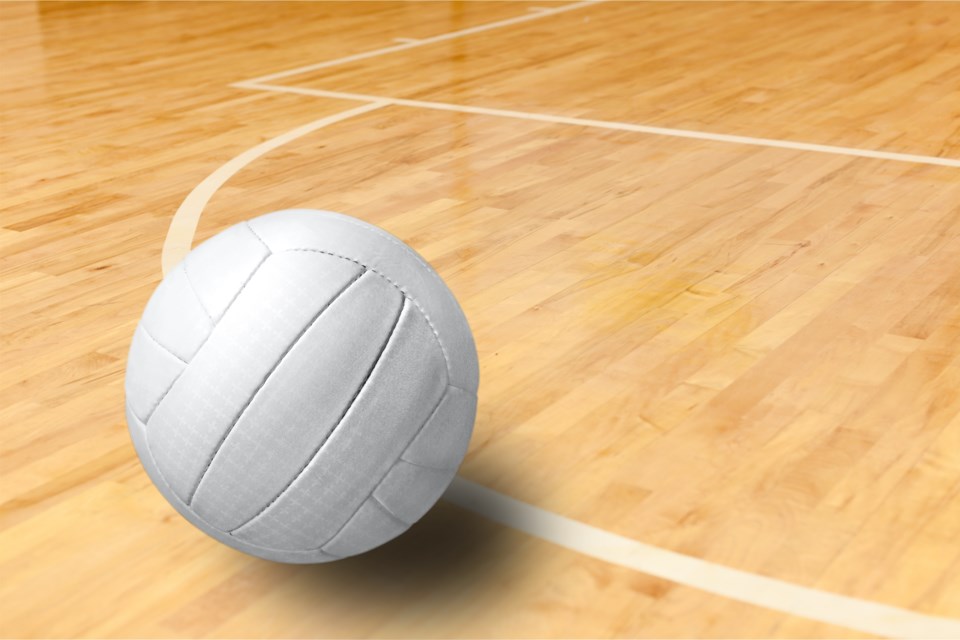 Volleyball Adobe Stock