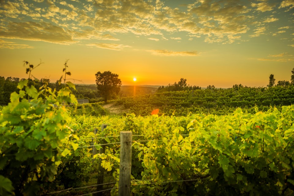 190401 Spotlight_TC Tourism_TC Uncorked_Title Image