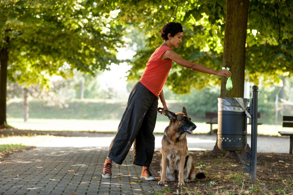 WomanDisposingofDogPoop