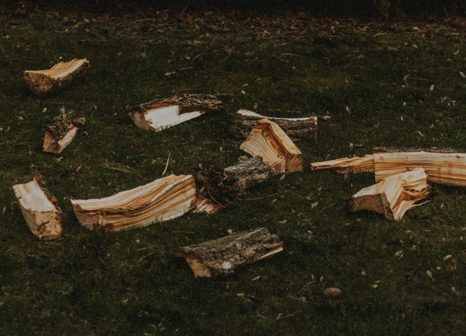 wood-chips-stock