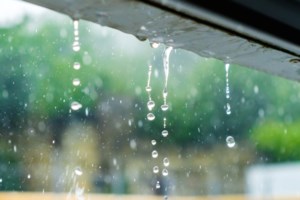 Significant rainfall expected this weekend: Environment Canada