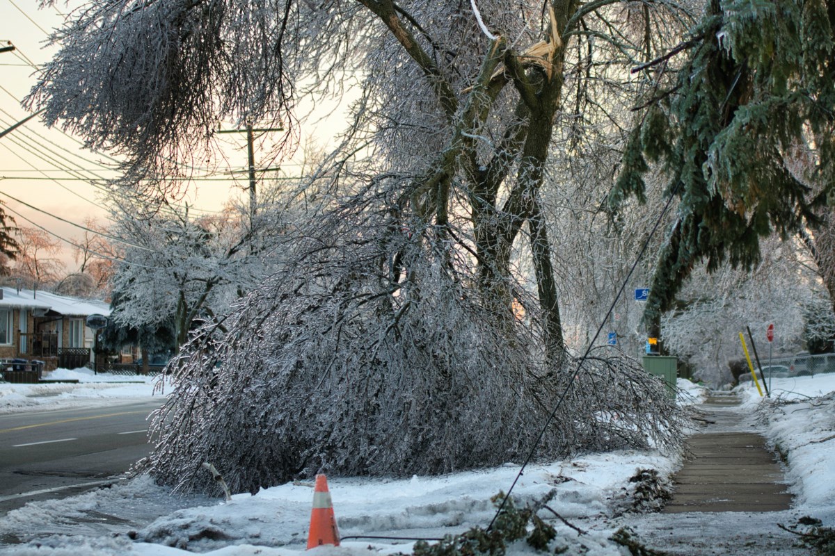 Weather alert issued for Collingwood and area Collingwood News