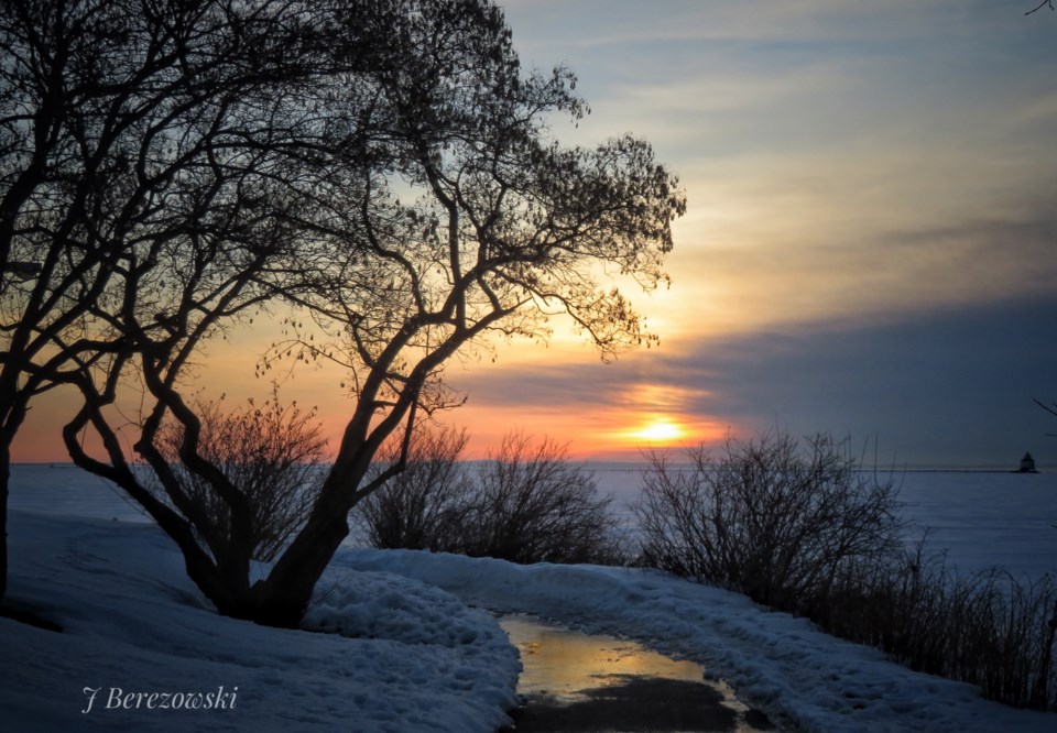 joanberezowski230327