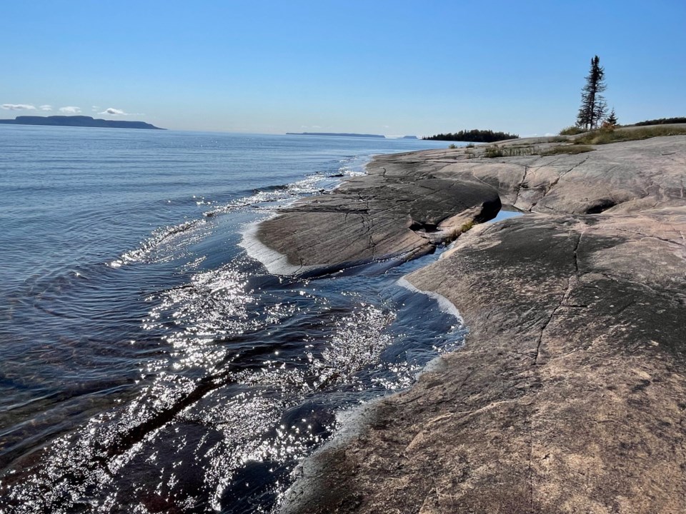 lynnhowe221027
