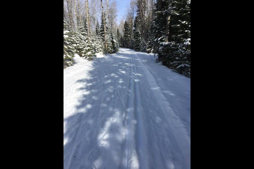 ann-marie-bechamp-leclair221118