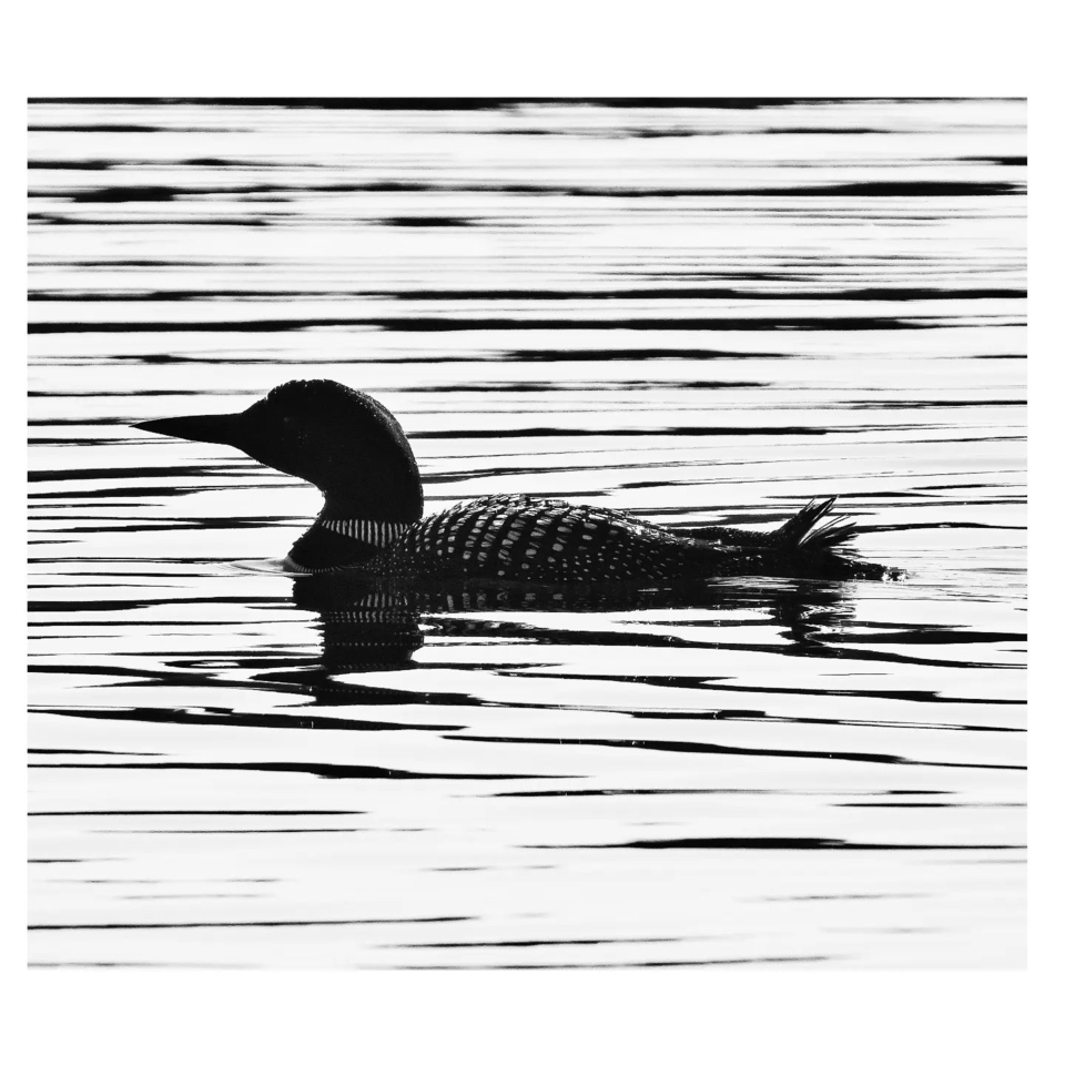 the_rubberboot_ninja221108