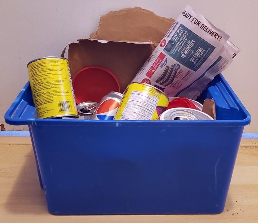 Recycling Blue Box