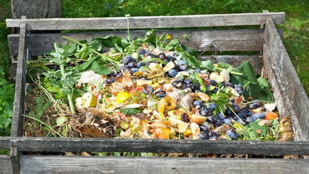 backyard composter photo1