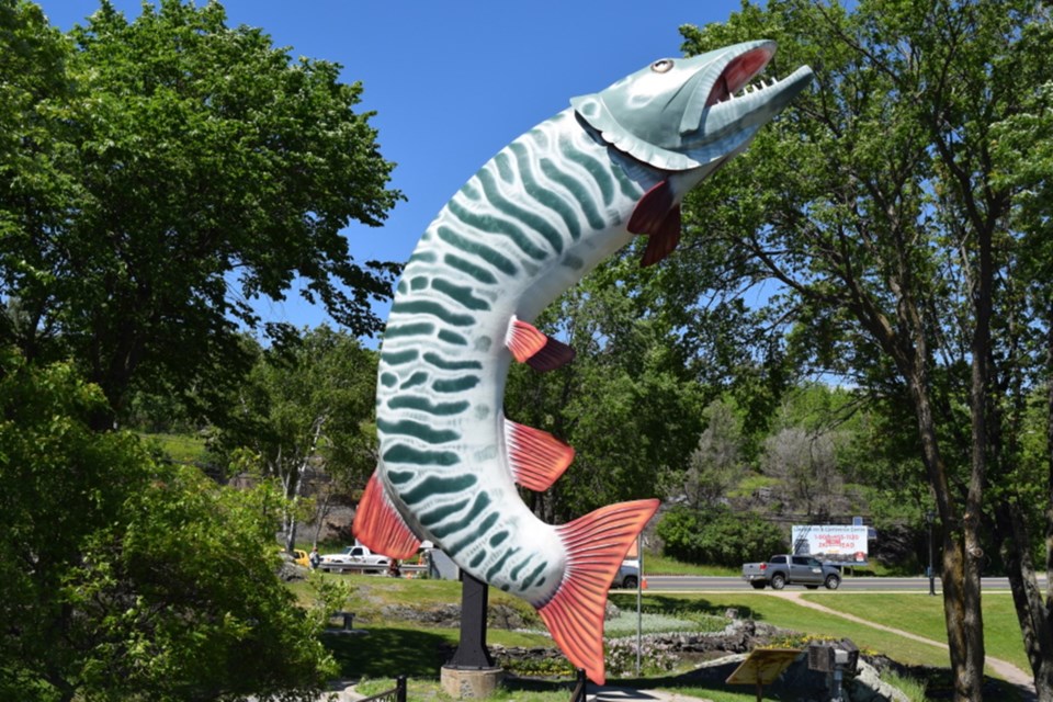 huskie the muskie new photo1