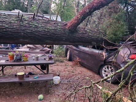 Sioux narrows photo2 tornado