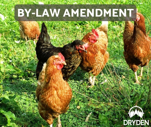 hen coop bylaw photo