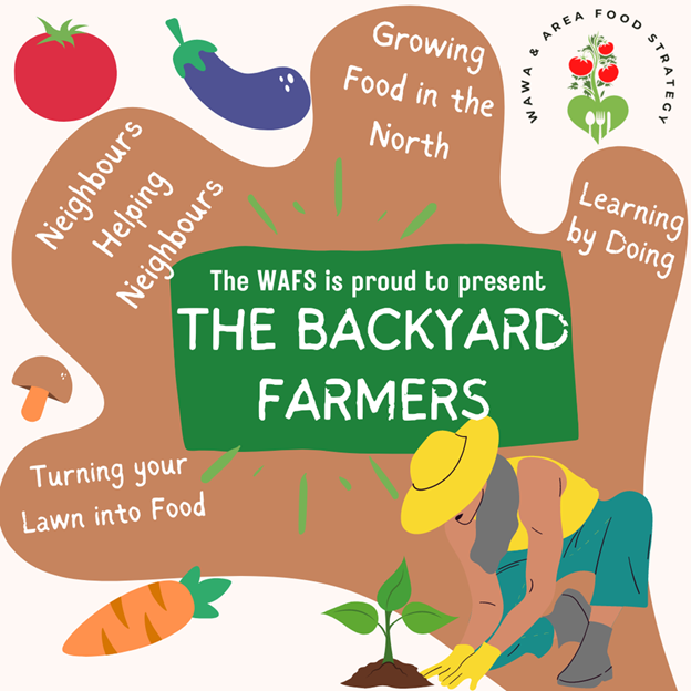 backyard farmers pic