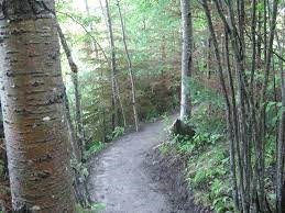 nipigon trails association pic