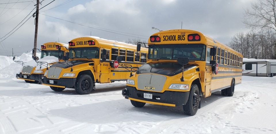 School buses - Marya Kalen