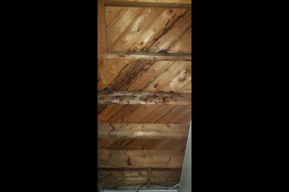 drips-from-the-wooden-ceiling-photo-by-marya-kalen