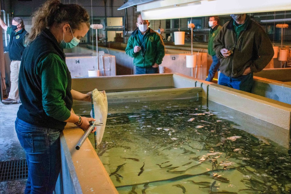 20240408-grayling-marquette-state-fish-hatchery