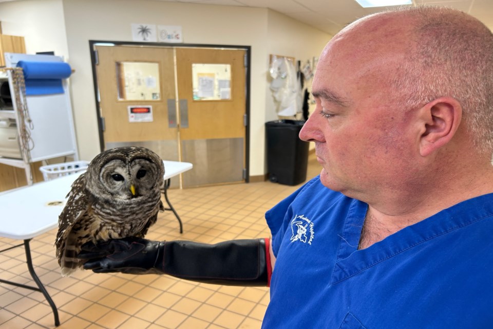 Dr. Jeff LaHuis with the owl. 