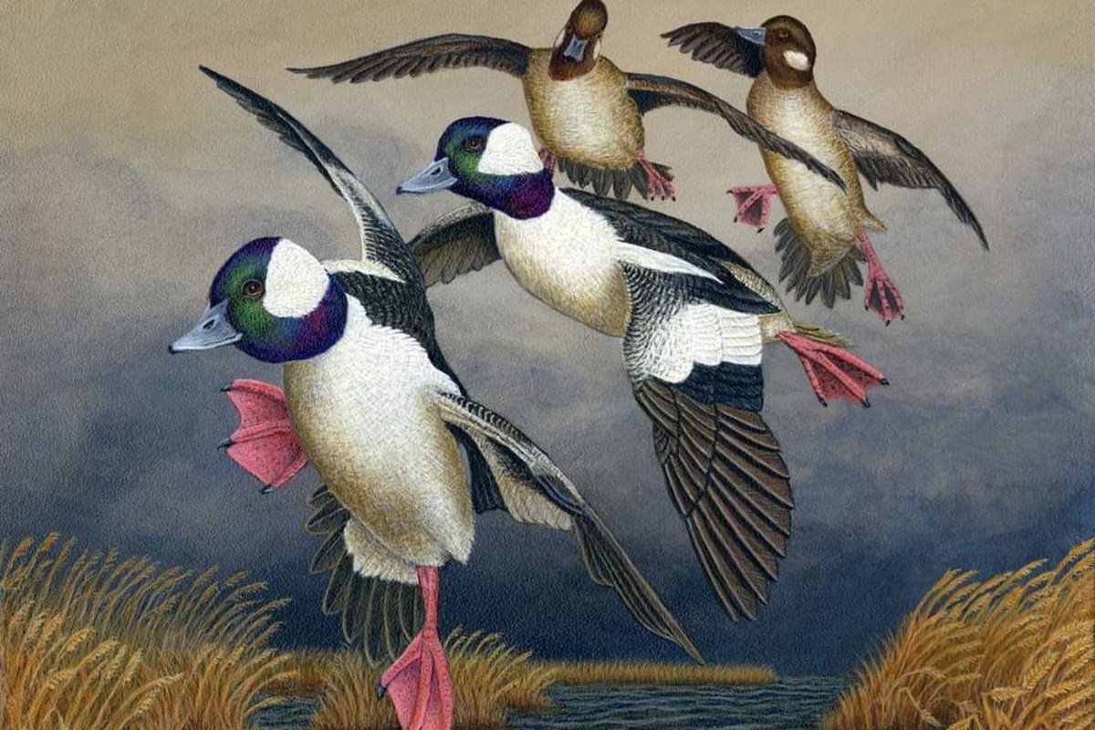 Help local Ducks Unlimited coordinator preserve wetlands at annual 