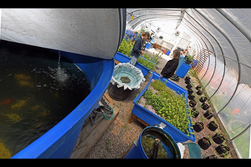 A program that emphasizes water based sustainable agriculture is coming into its second decade at Lake Superior State University. 