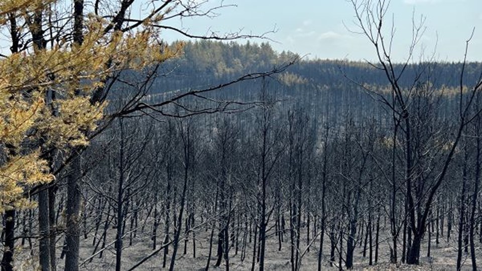 Grayling fire 90 contained as beaches, railroad reopen SooLeader