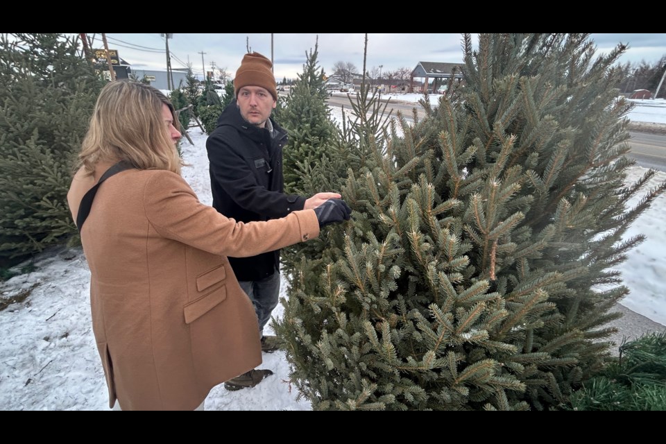 The crew at the Christmas tree lot will help you find the tree you want
